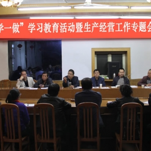 公司組織召開“兩學一做”學習教育活動暨生產經營工作專題會議