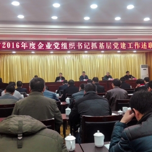 公司領導參加全市2016年度企業黨組織書記抓基層 黨建工作述職大會