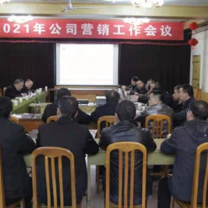 公司召開2021年度營銷工作會議